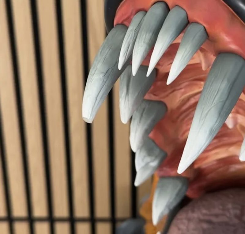Tsume madara